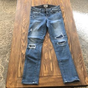 Paige jeans